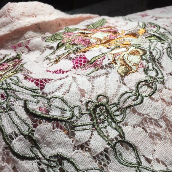 Embrodery Floral Light Pink Women's Lace Button Up Shirt Paparazzi by Biz - Picture 12 of 14